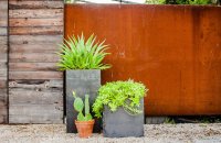 steel planter boxes.jpg
