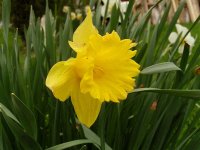 2006-01-03 19.18.19.jpg