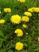 2006-01-03 19.11.49.jpg