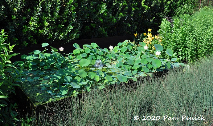 01_Lotus_pond-1.jpg