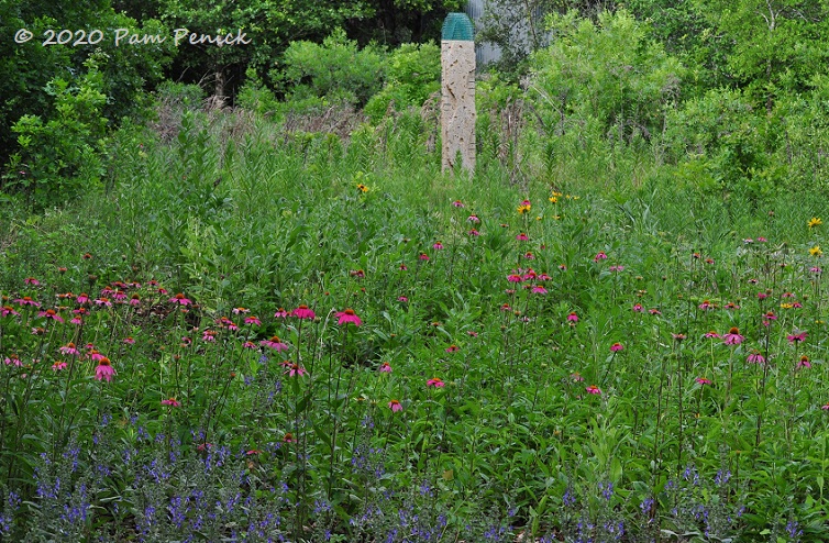 01_Purple_coneflowers_Sculpture-1.jpg