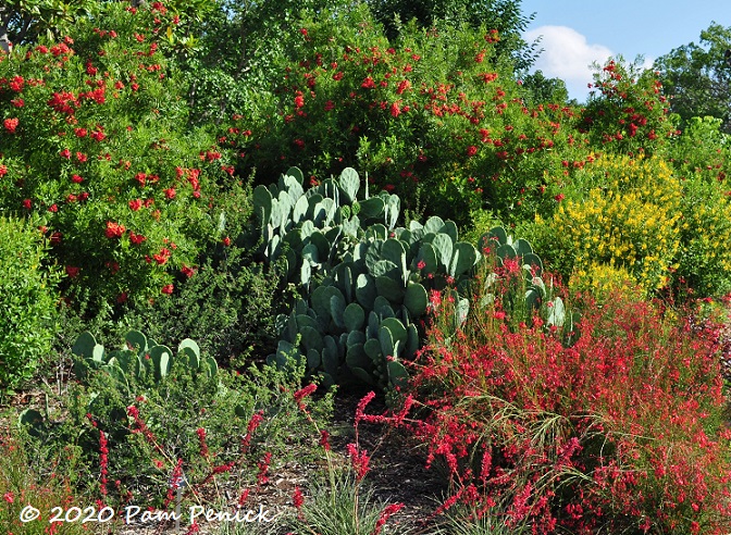 05_Red_garden-1.jpg