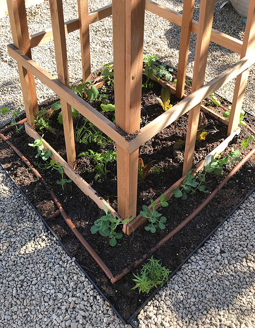 4planting-obelisk-in-raised-bed-garden.jpg