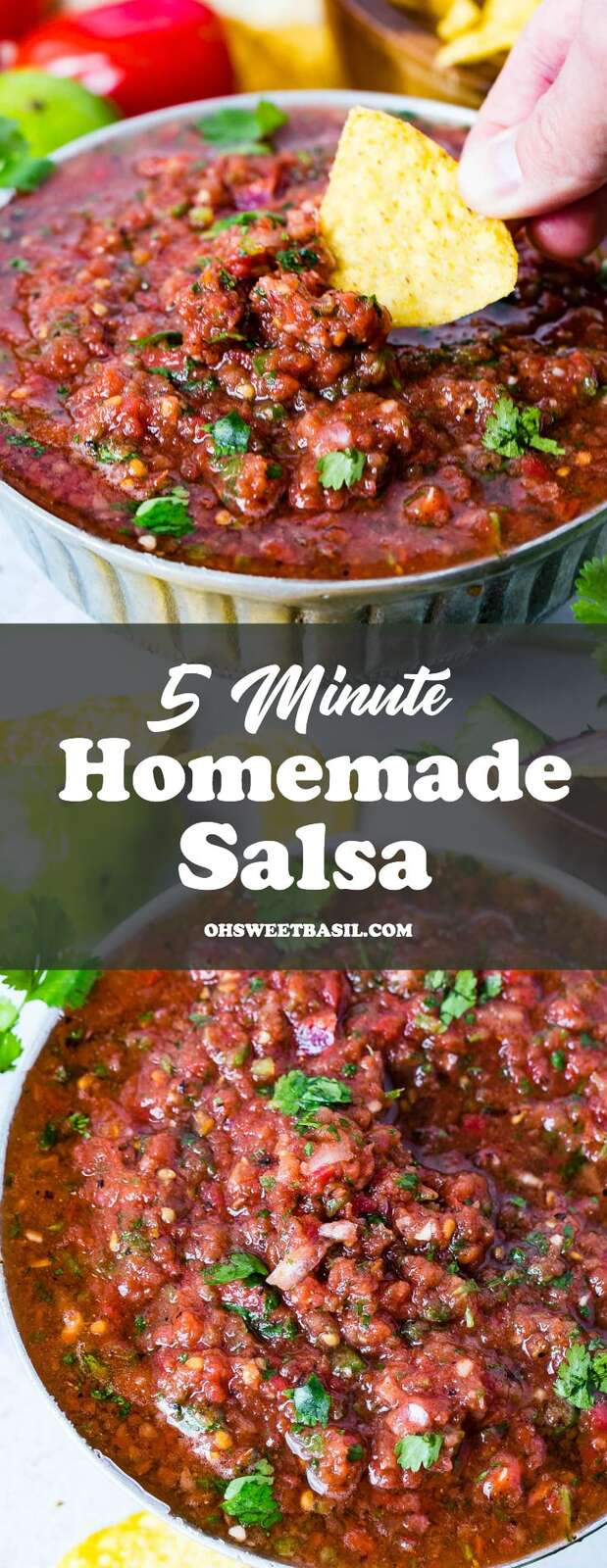 5-Minute-Homemade-Salsa-ohsweetbasil.com_.jpg