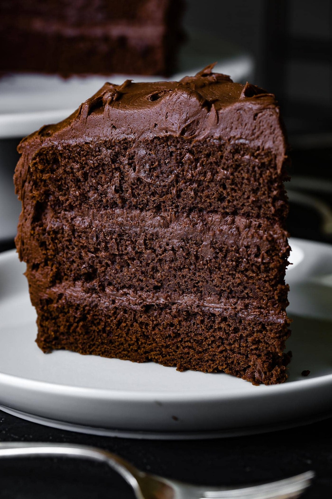 chocolate-cake-with-chocolate-frosting-recipe-13.jpg