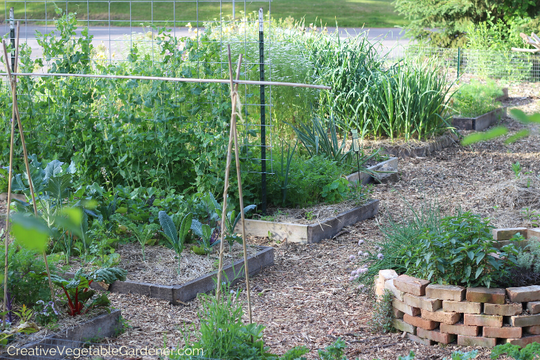 easy-options-for-raised-garden-beds.png