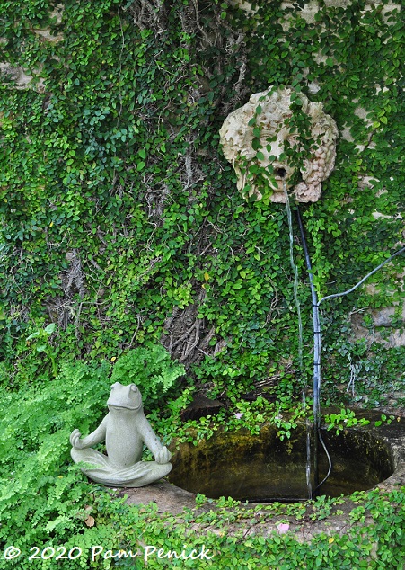 Face_fountain_Fig_ivy_wall_Frog-1.jpg