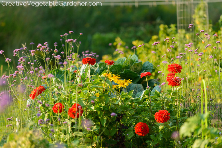 Flowers-Vegetable-Garden.jpg