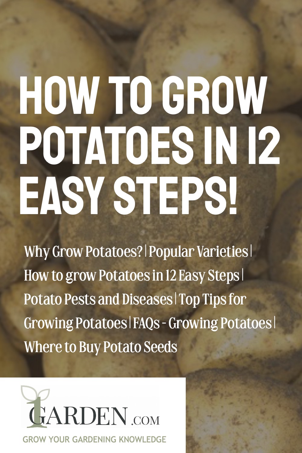 How to Grow Potatoes in 12 Easy Steps - Guides and Tips_Pinterest_1000x1500.jpg