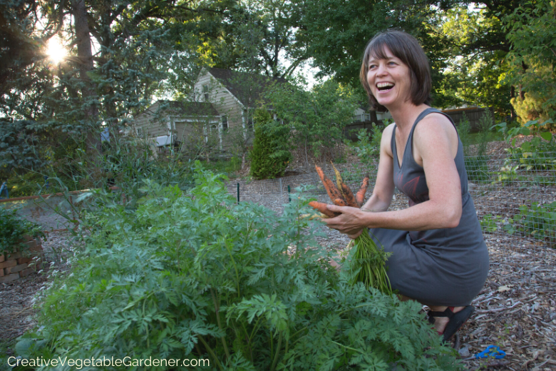 how-to-plant-garden-carrots.png