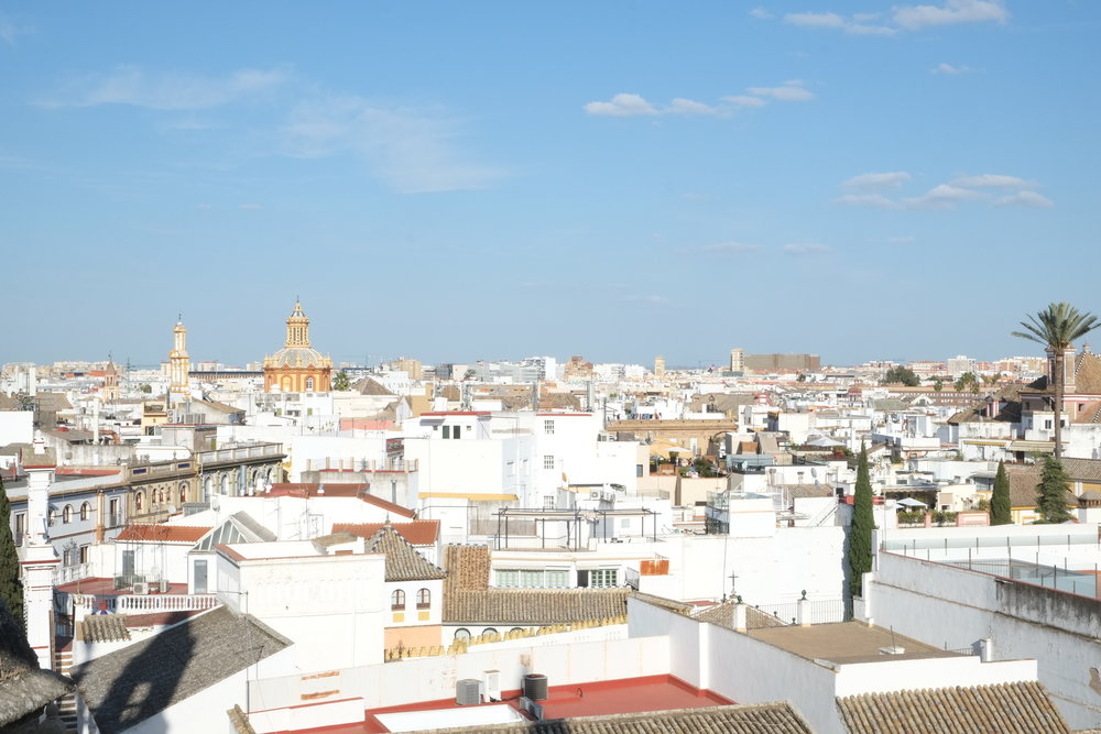 ille+from+the+Cathedral+Roof+Top+Tour?format=1000w.jpg