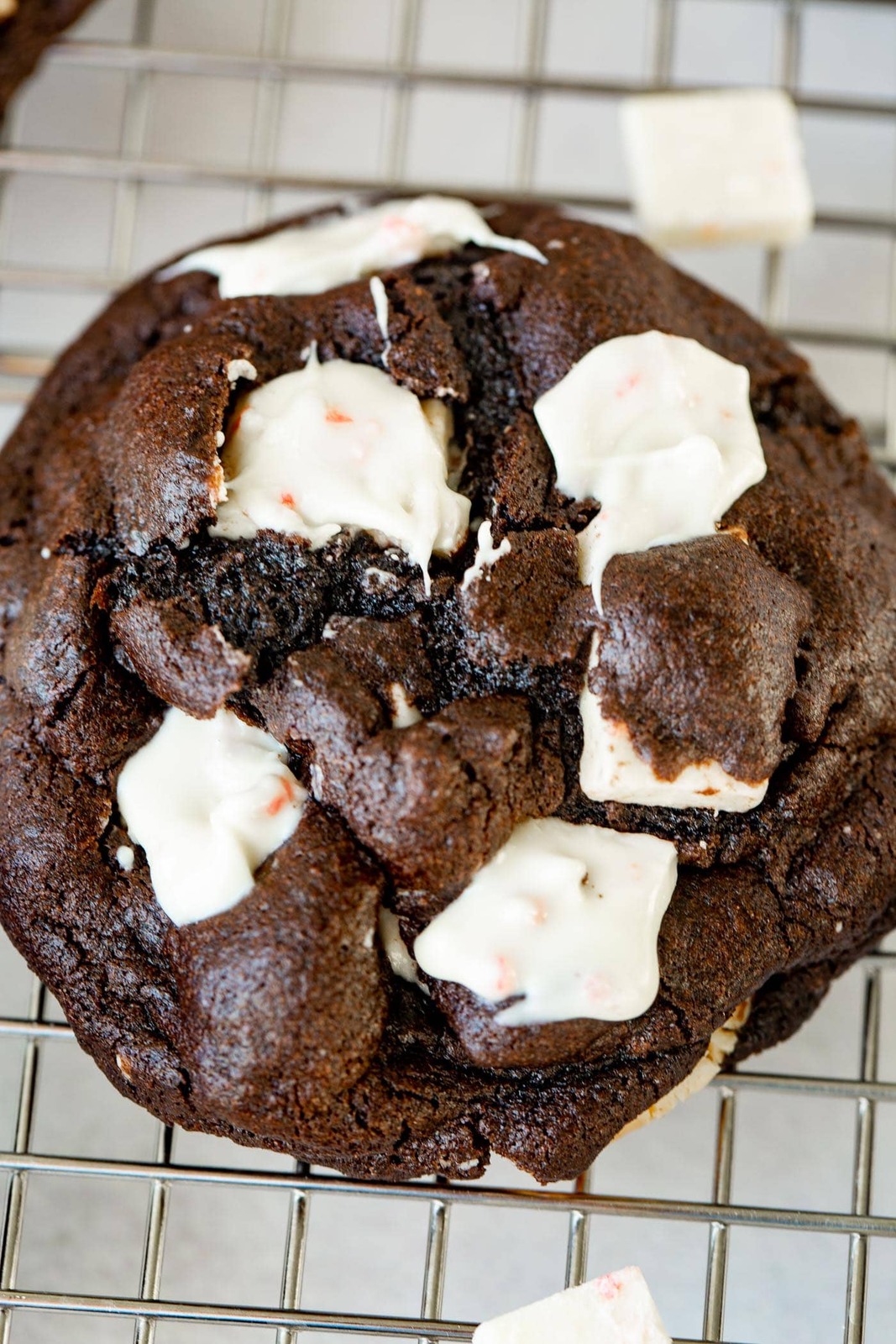 peppermint-chocolate-cookies-recipe-6.jpg