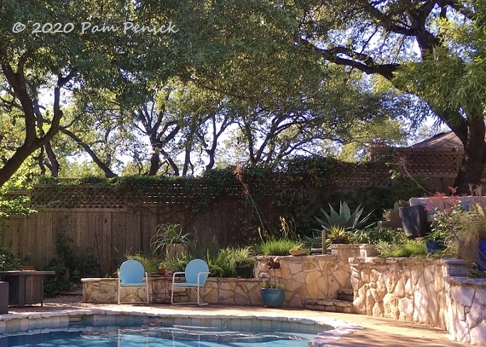 Pool_patio_garden-1.jpg