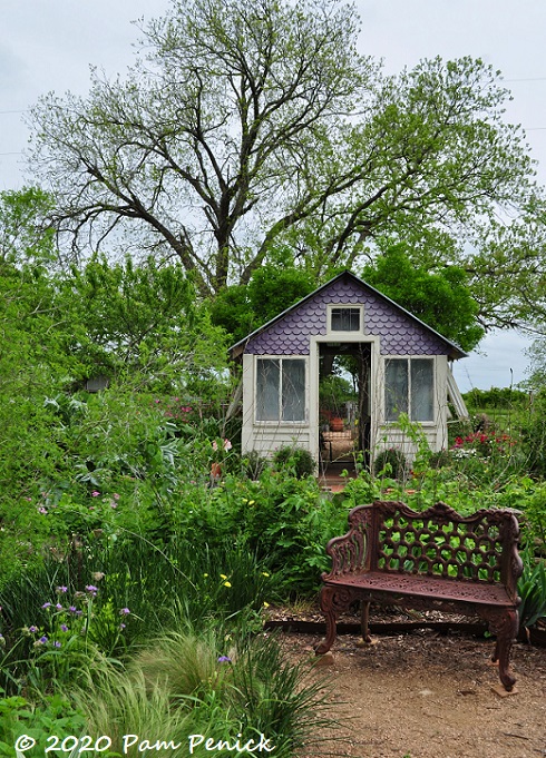 Purple_greenhouse-1.jpg