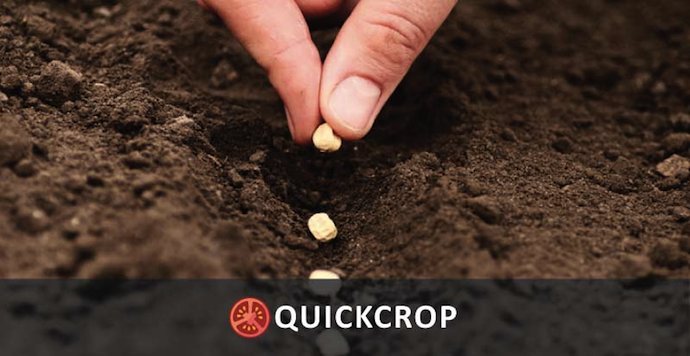 Quickcrop-sowing-seeds.jpg