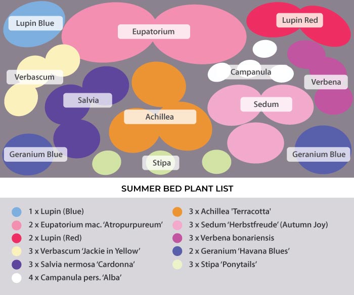 Summer-bed-plan-3.jpg