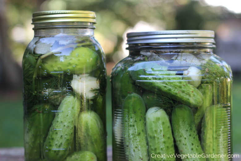 vegetable-fermentation.png