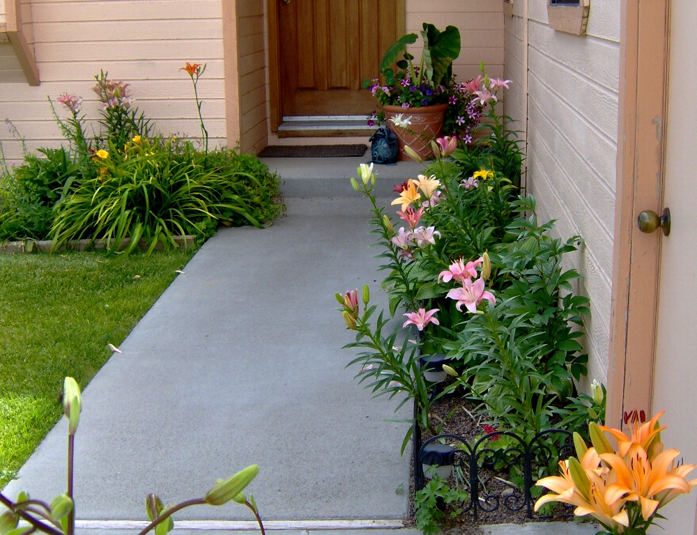 2010 Lillies at the front walkway