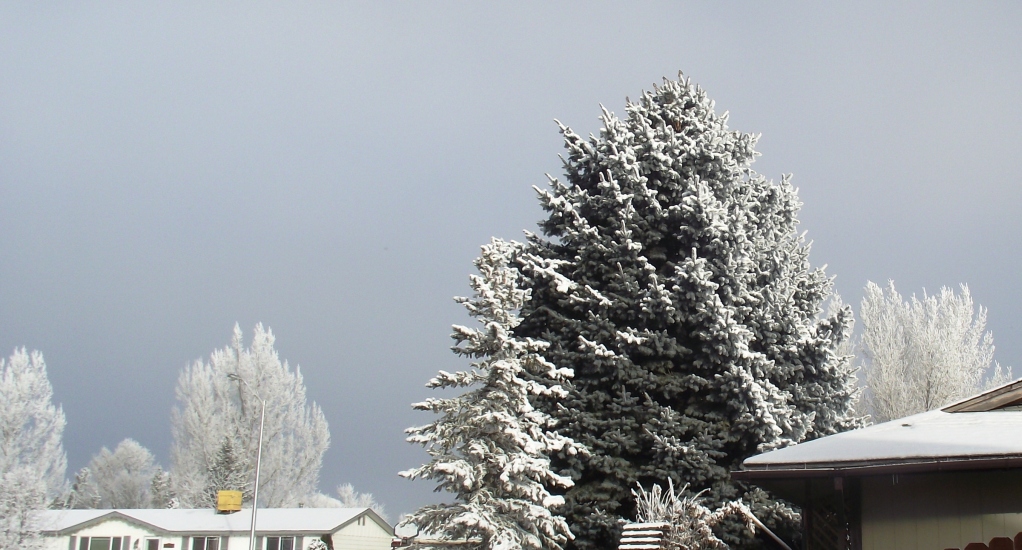 Early frosty morn in Elko
