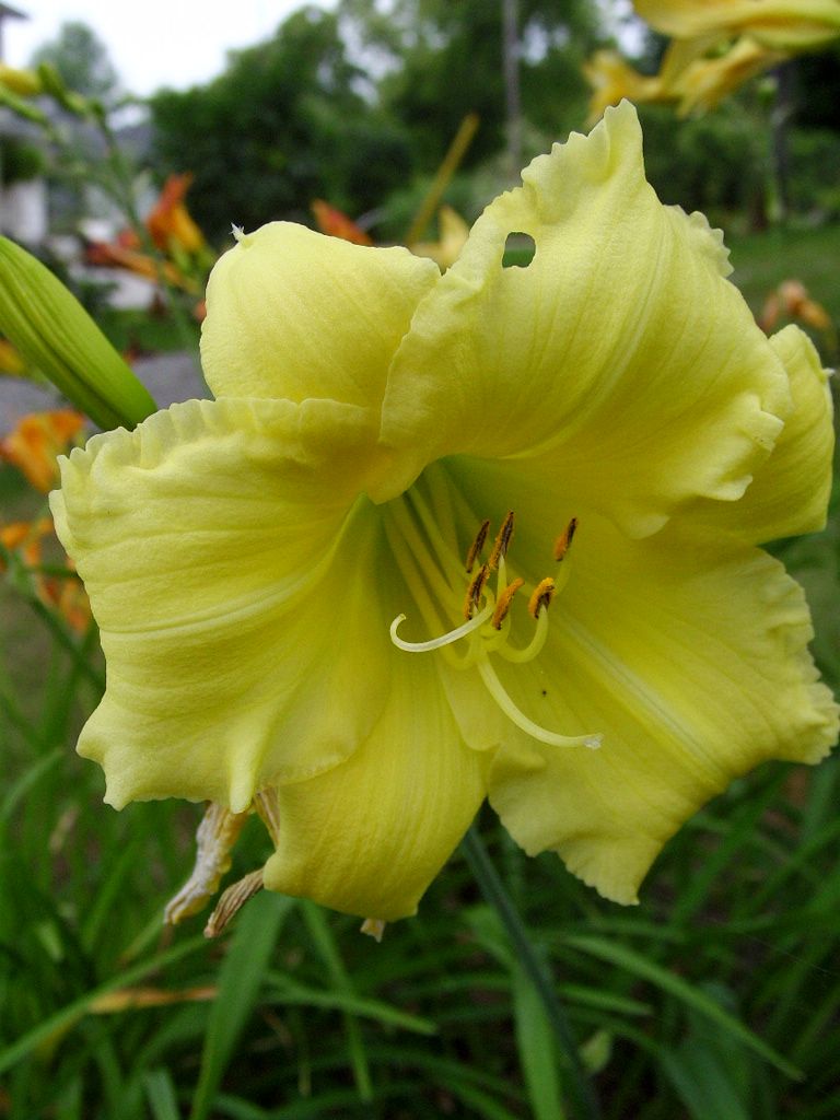 011