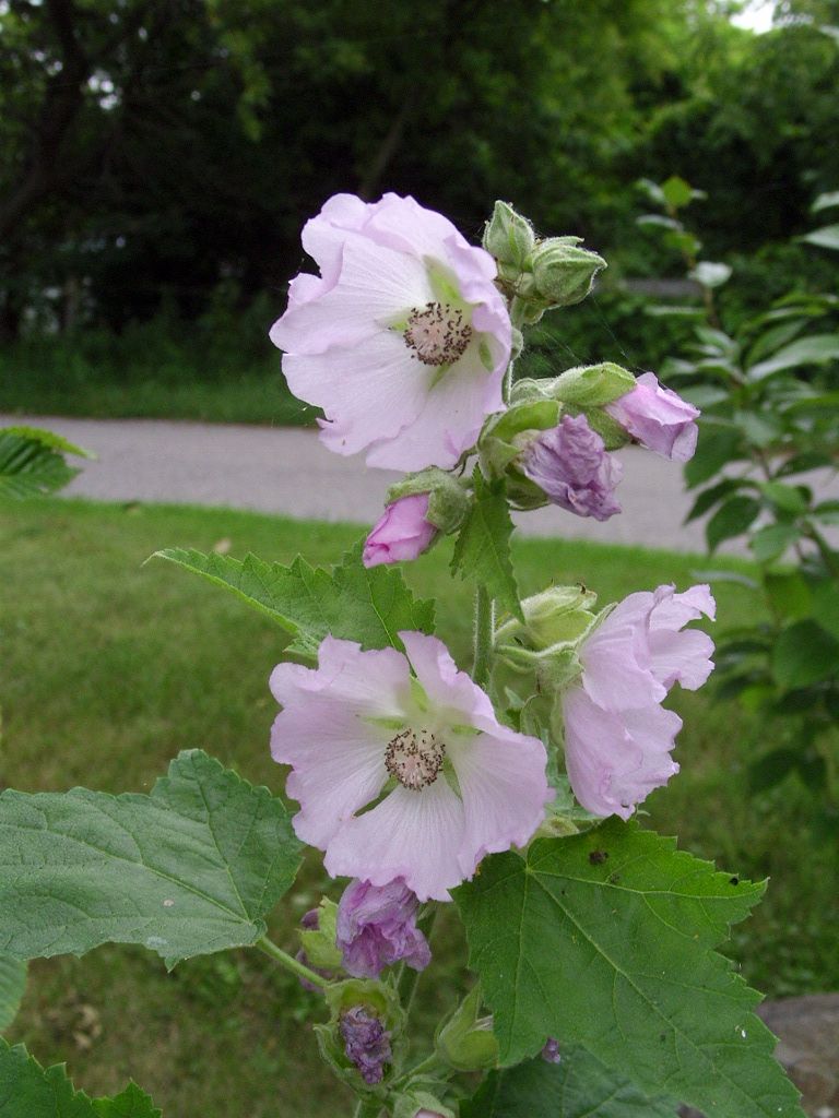 018