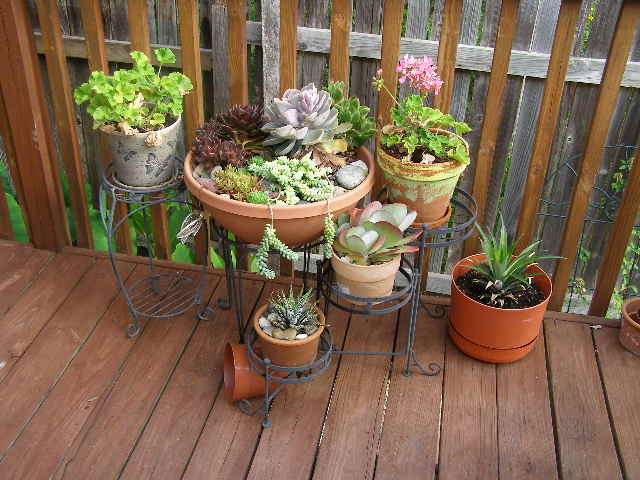 back deck
