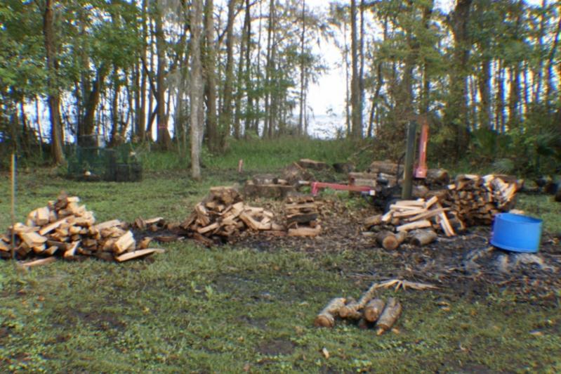 back yard current (800x533)