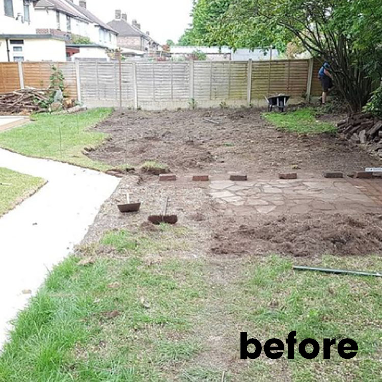 Before Lawn Renovation