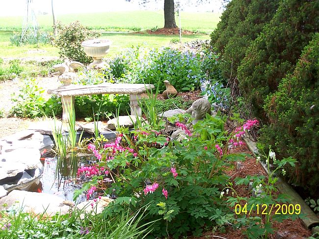 Bleeding Heart 5