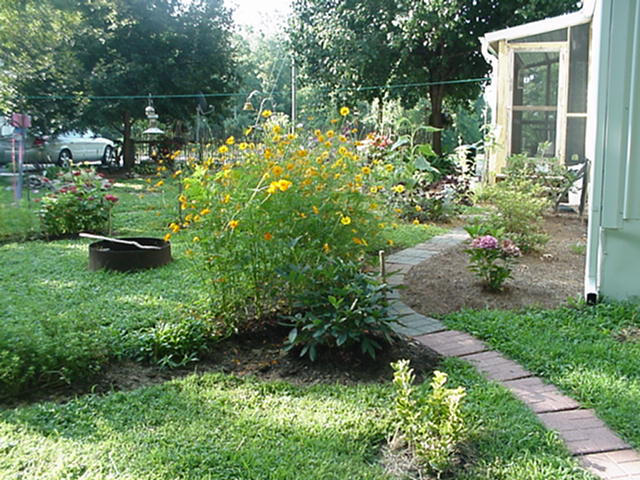 cottage garden