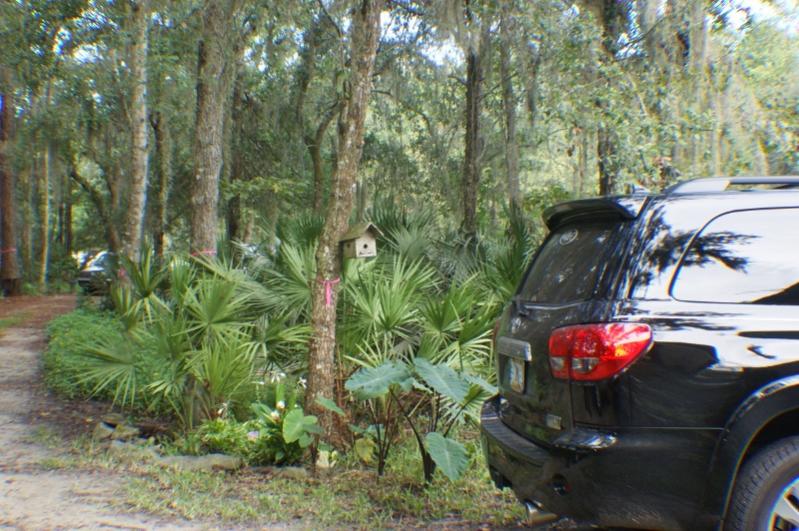 Drive 1 (800x532)