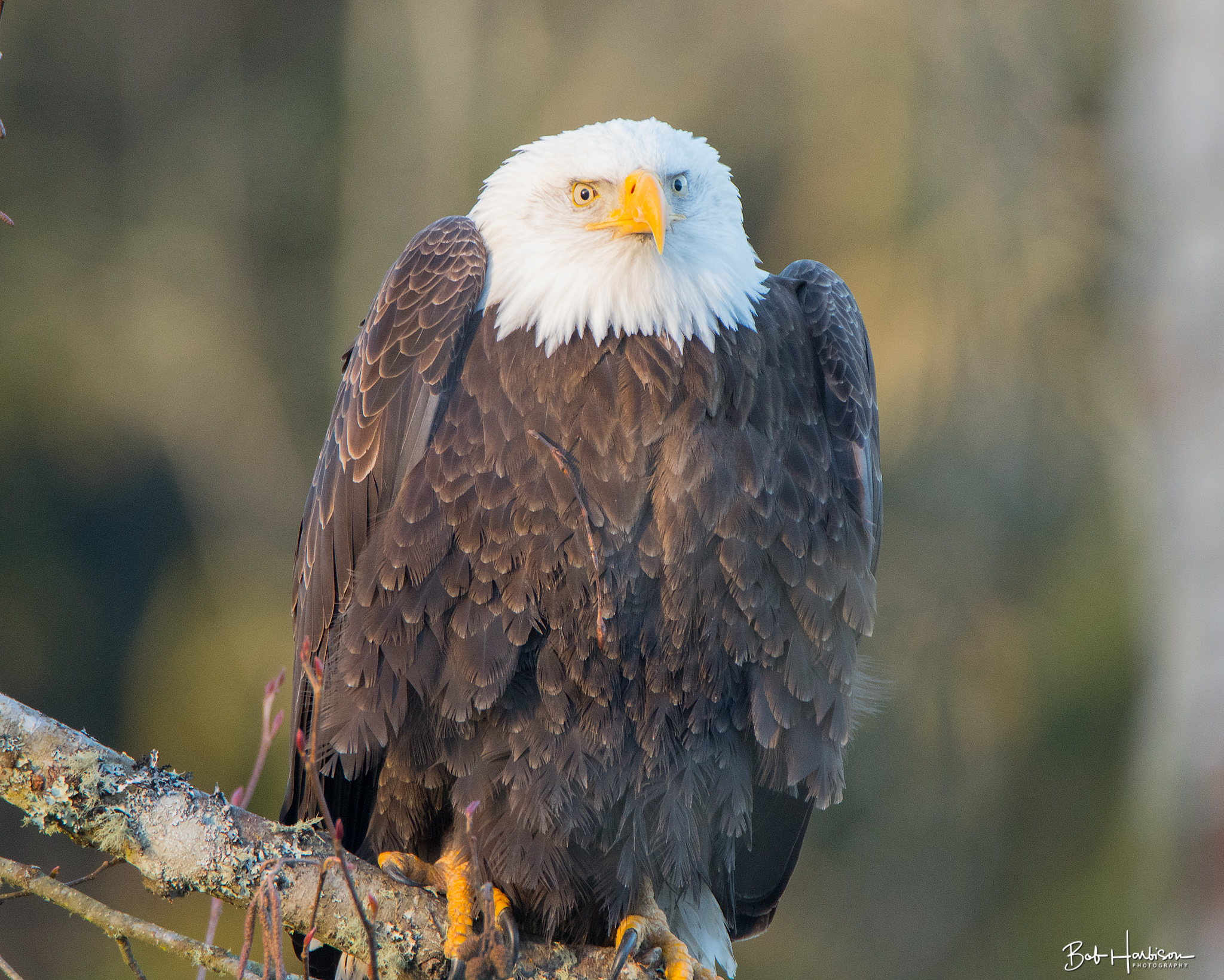 DSC_0257-Edit.jpg