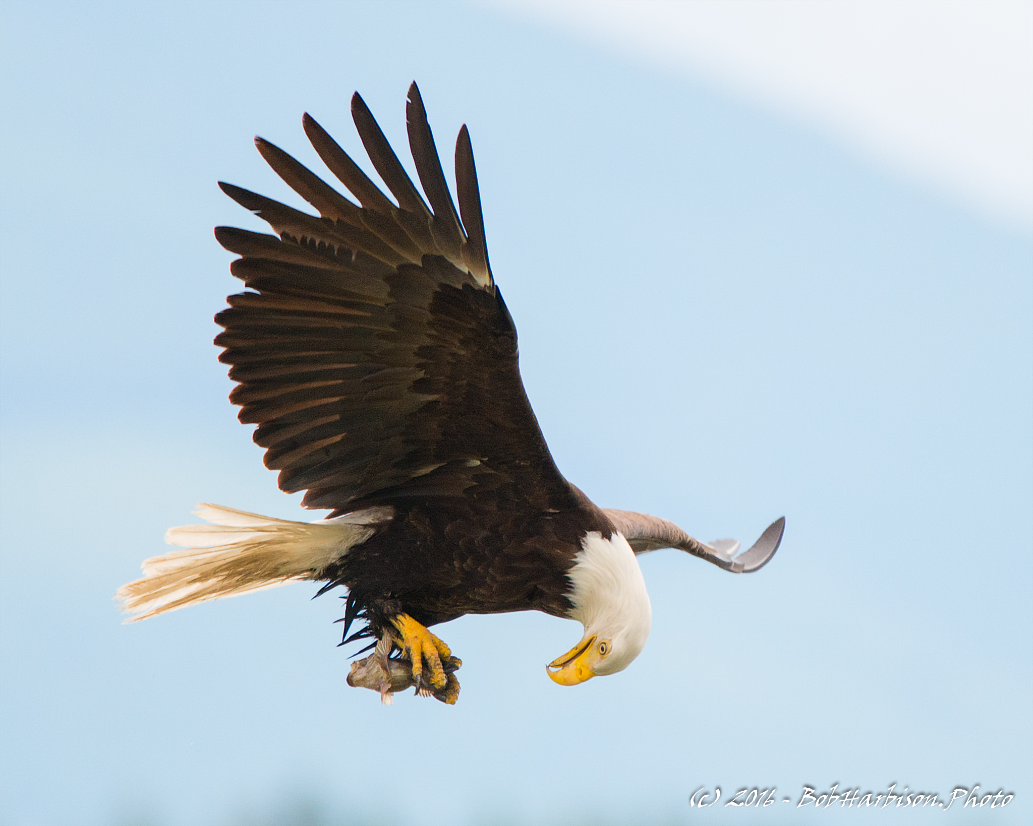 DSC_0566-Edit.jpg