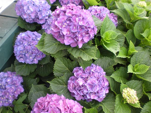 DSCN1362 (Small)