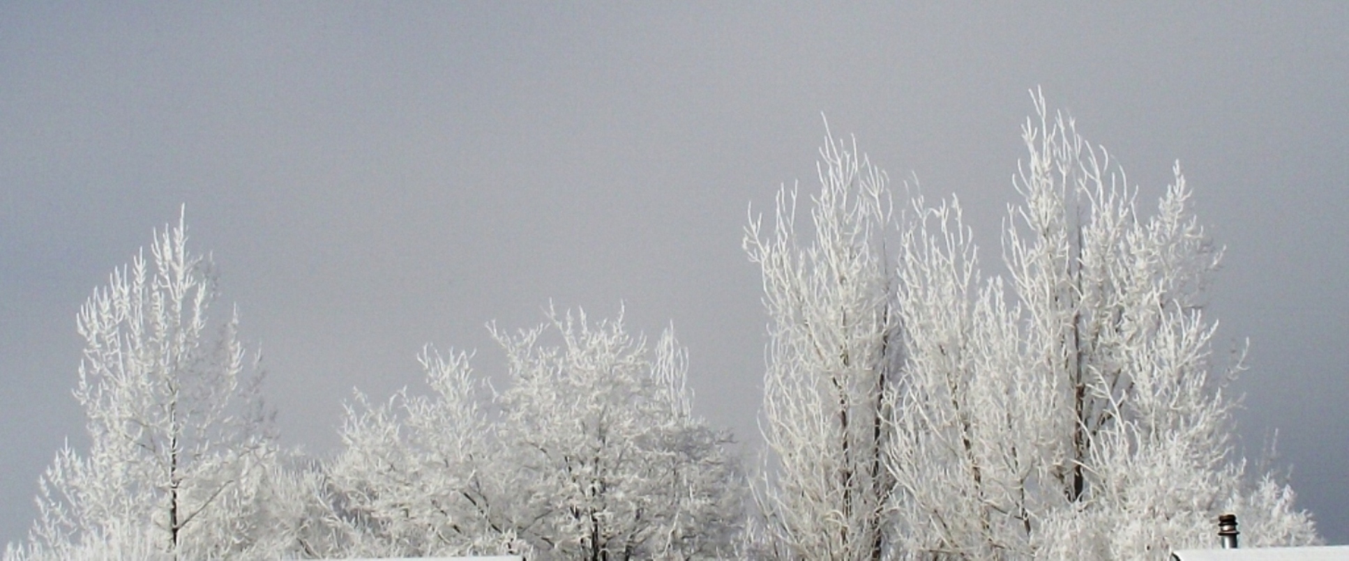 Early frosty morn in Elko