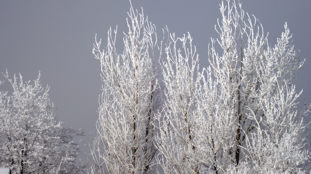Early frosty morn in Elko