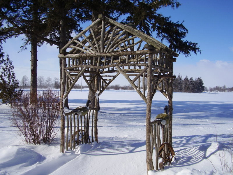 Extreme Birdhouses