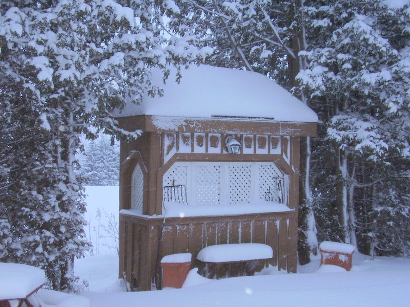 Extreme Birdhouses