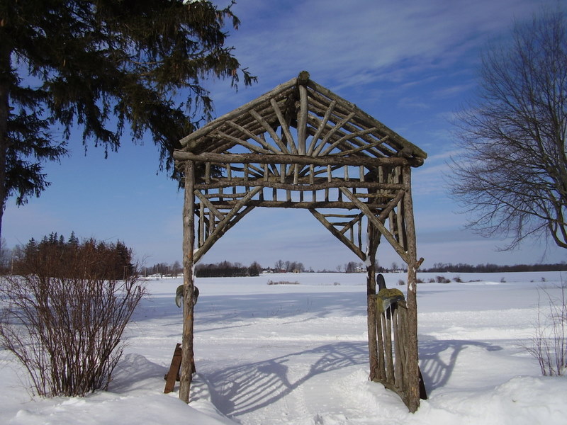 Extreme Birdhouses