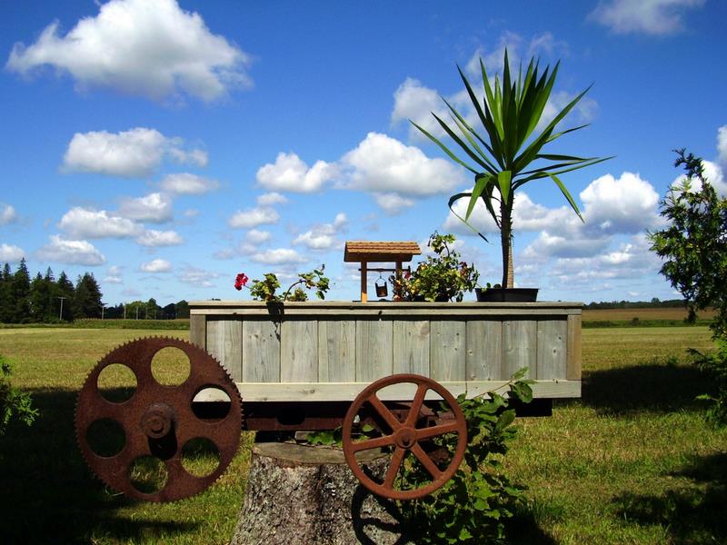 Extreme Birdhouses