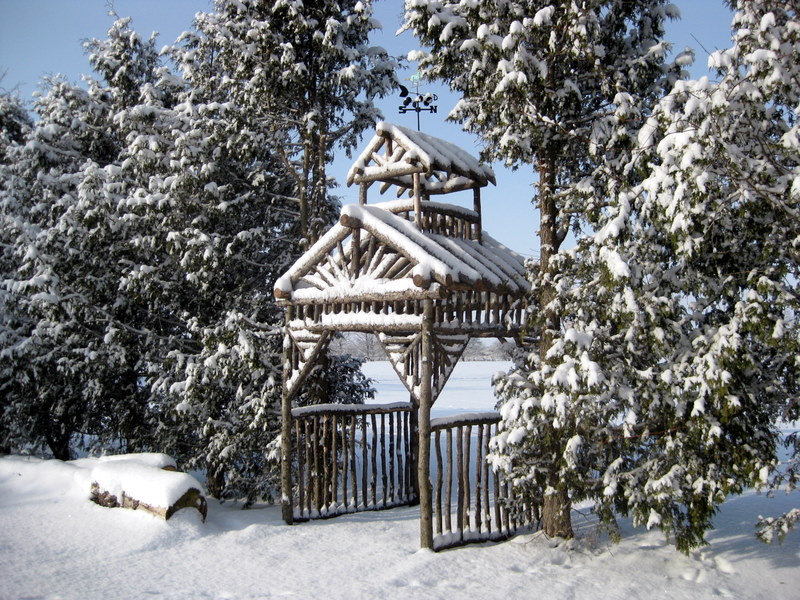 Extreme Birdhouses