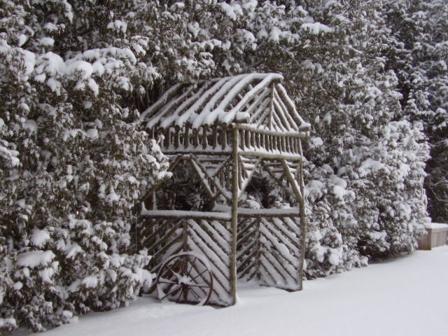Extreme Birdhouses