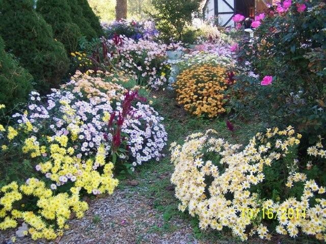 Flowers2002
