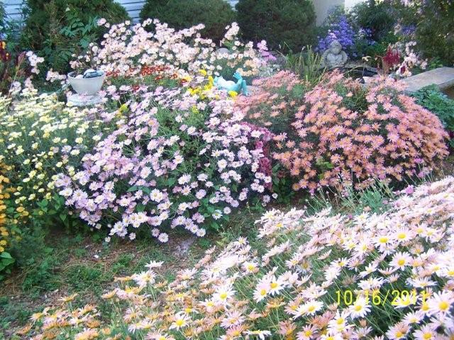 Flowers2008