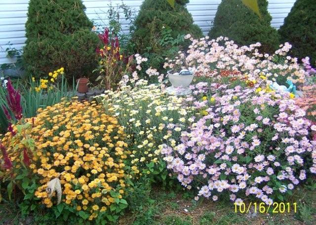 Flowers2009