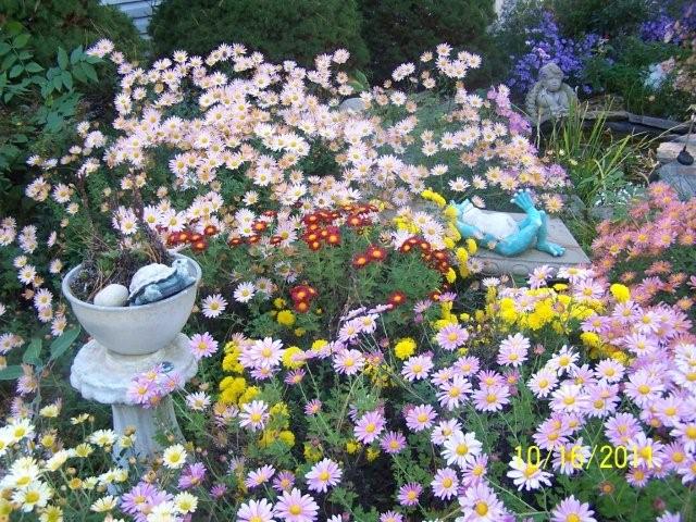 Flowers2010