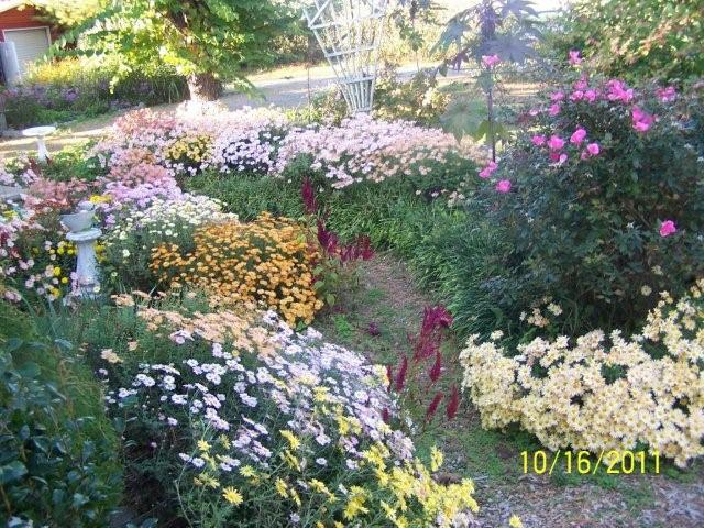 Flowers2012