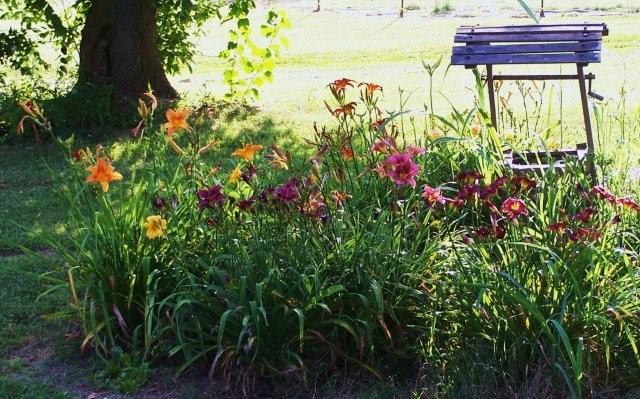 Flowers6-7-12049[1]