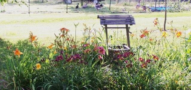 Flowers6-7-12050[1]