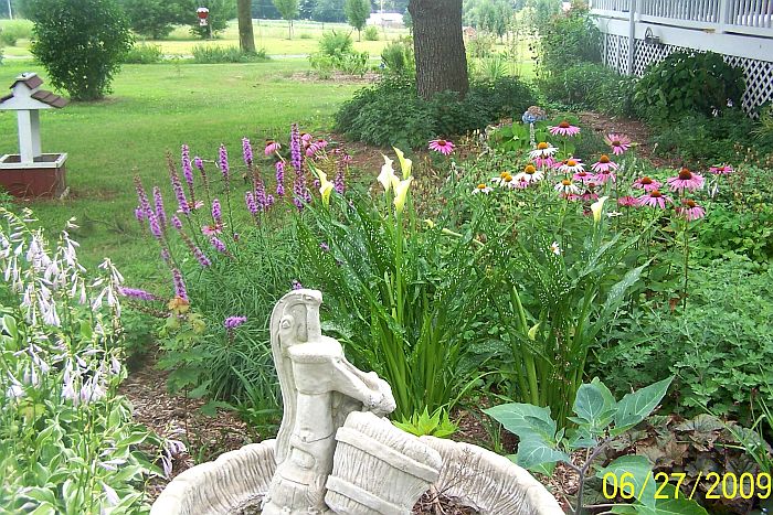 Front Bed 1